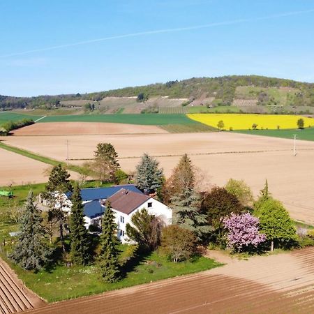 Ferienwohnungen Rosenhof Karlstadt Exterior foto