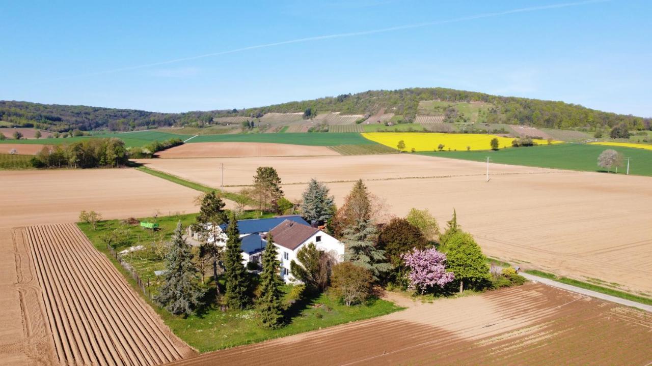 Ferienwohnungen Rosenhof Karlstadt Exterior foto